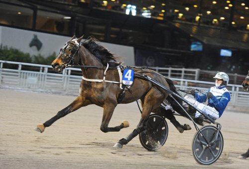 ”Hade mycket att köra med”
