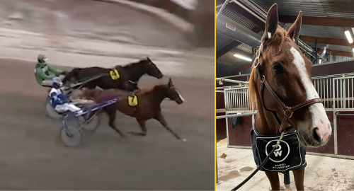 Ingen enkel väg för Sir Alex