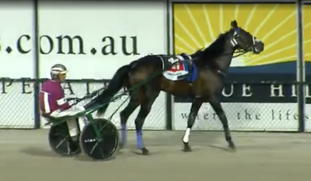 Oscar Bonavena vann sitt första lopp i Australien idag.
