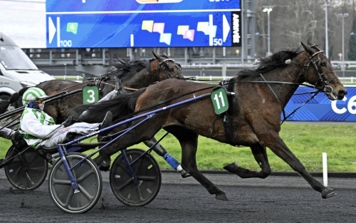 Nytt storlopp till Kokote