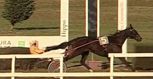 Femte raka för Ultion Face