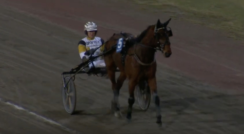 Årsdebut med mersmak