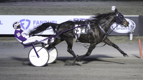 Blågula framgångar