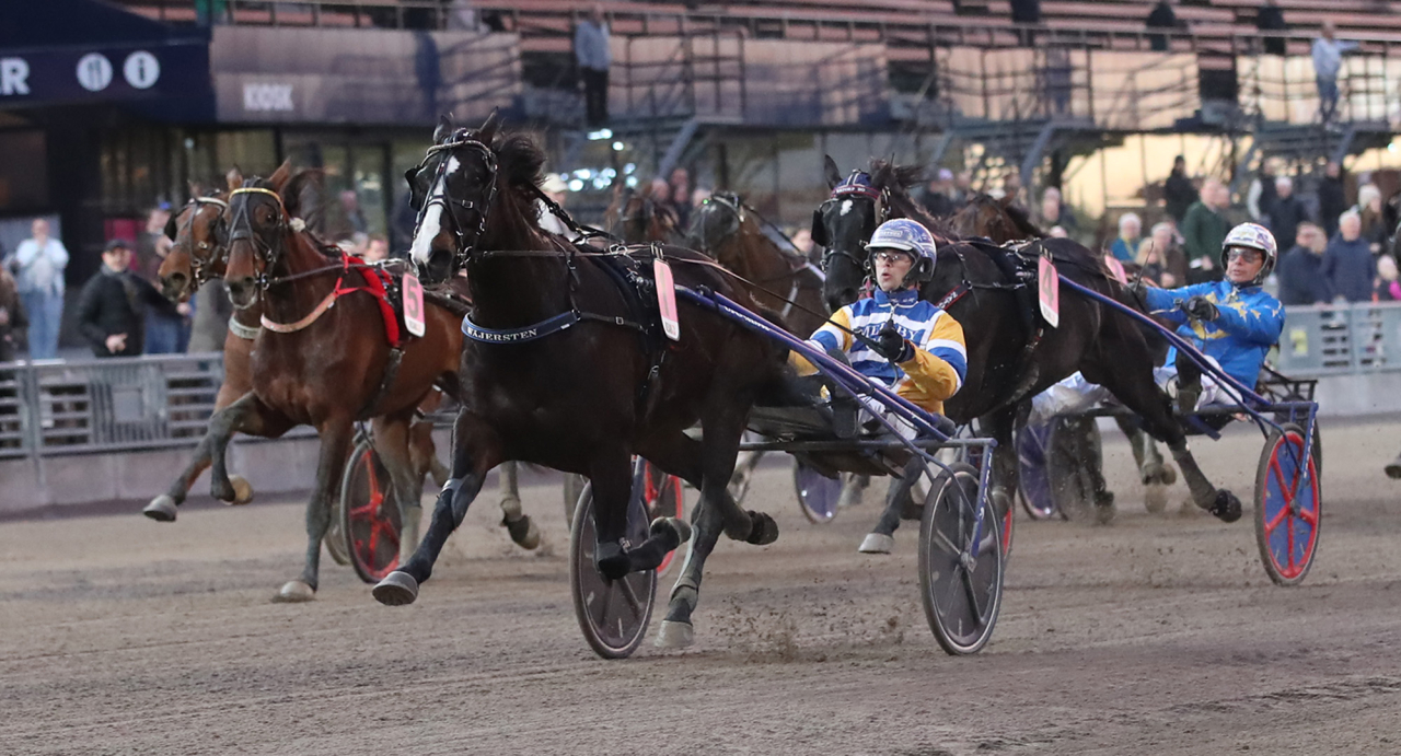 Mellby Jinx och Daniel Wäjersten vid segern i C.Th.Ericssons Memorial ifjol. Foto Mathias Hedlund/Sulkysport
