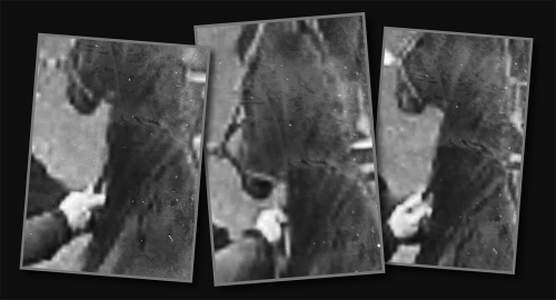 ST stänger av tränare