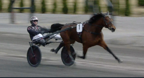 Mot Drottning Silvias Pokal?