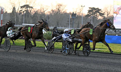 Femte raka för Inexess Bleu