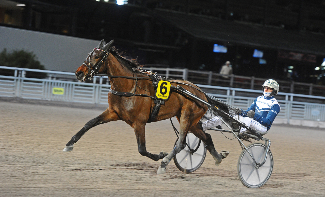 Marylin Sisu vann sin debut förra veckan på Solvalla och tjänade 70.000 kronor. Foto: Adam Ström/stalltz.se
