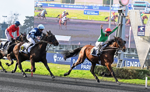 Euromiljonär till avel