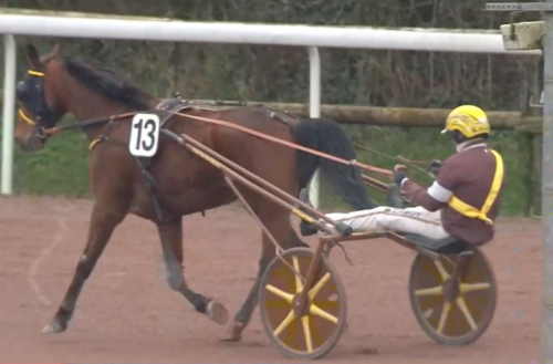 Greco Bello spurtvann