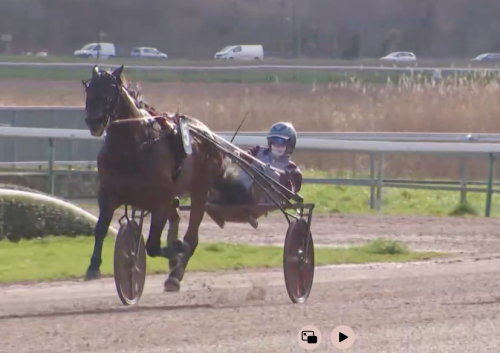 Elitloppsetta vann årsdebut