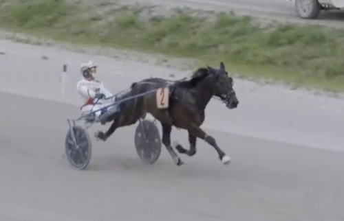 Första storloppstriumfen