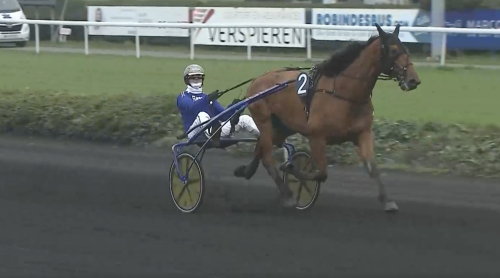 Javlar diskad måletta