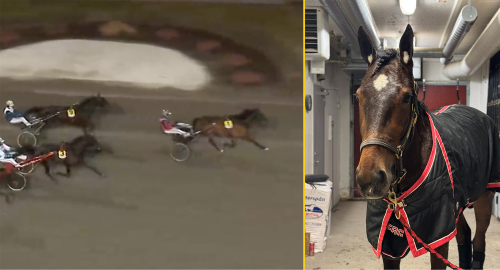 ”Hon ligger i framkant”