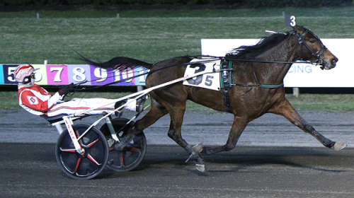 Trippel till Per Engblom