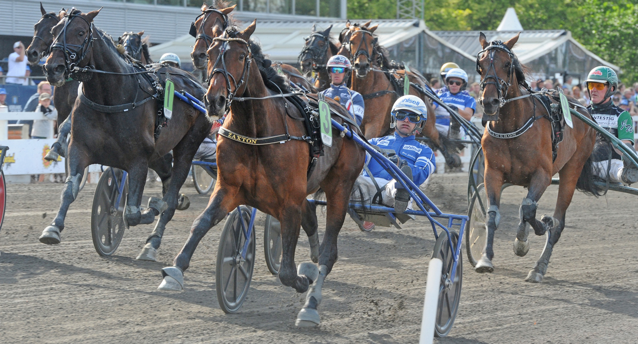 Daniel Wäjersten-tränade Zaxton, här med Erik Adielsson. Foto Adam Ström/Stalltz.se