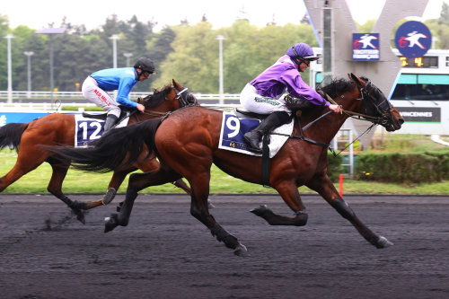 Skrällvinnare under sadel