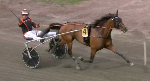 V75: ”Har inte kört en bättre häst”