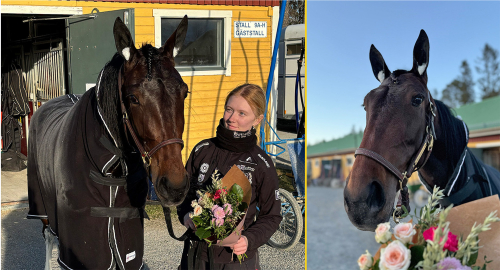 Pilsnabb Pihlströmvinnare