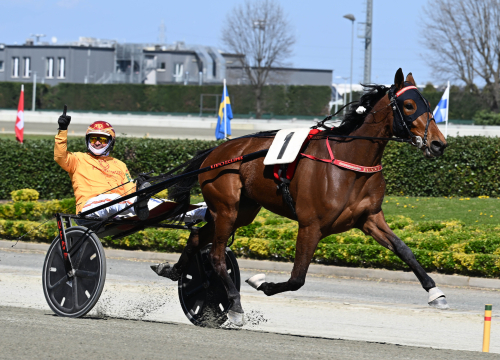 Funny Gio bäst från dödens