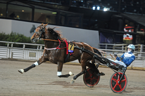 V75-tips: Spiken hamras in