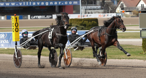 Gävle V75: ”Gick nedåt 1.05-strecket”