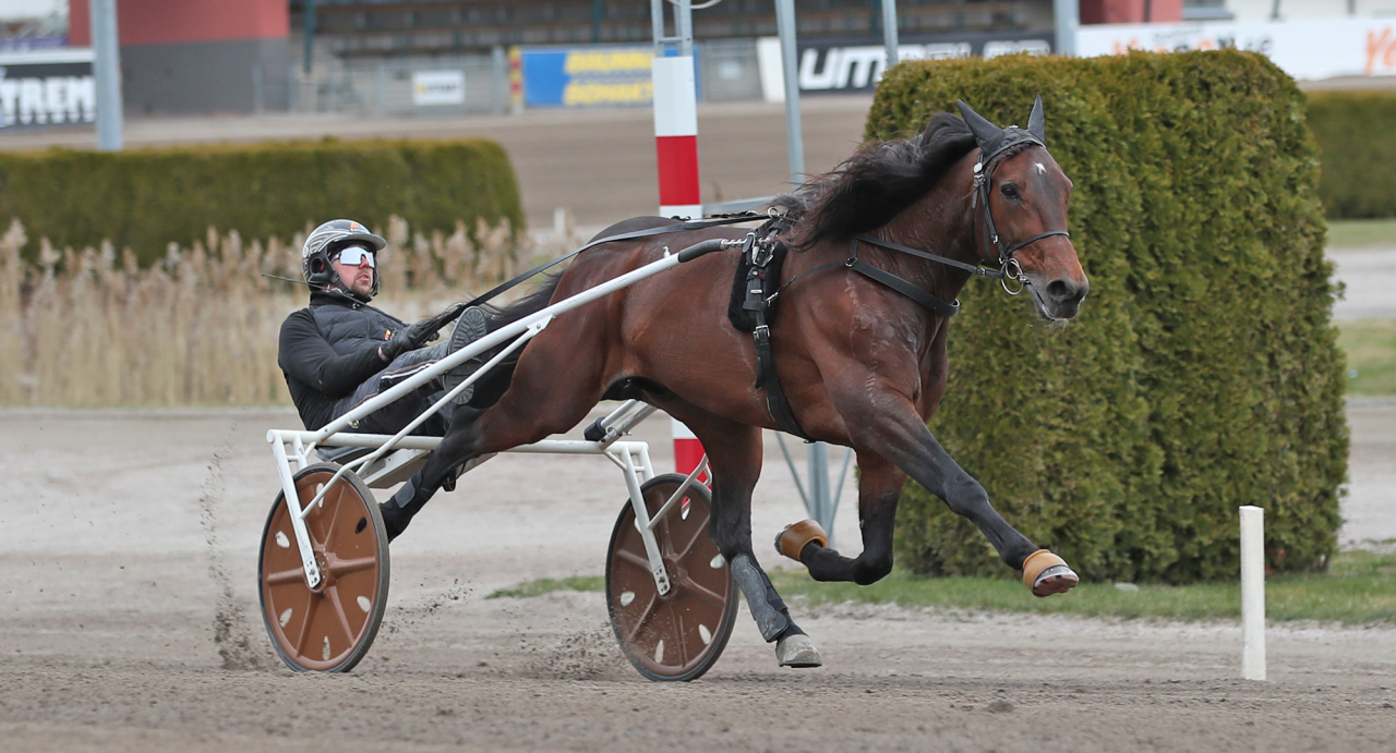 Daniel Redén och Francesco Zet i ett träningspass i våras. Foto: Mathias Hedlund/Sulkysport