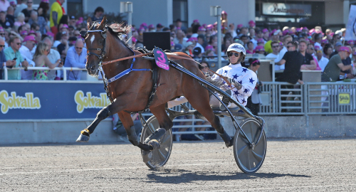 Go On Boy till Belgien