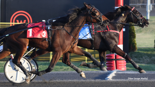 Ny vinst för Logan Park