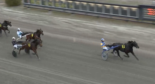 ”Normalbra eller extra extra”