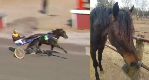 ”Hade krafter kvar”