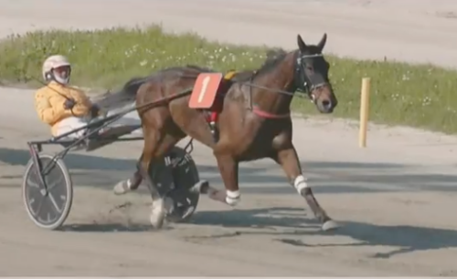 Ny seger för Ultion Face