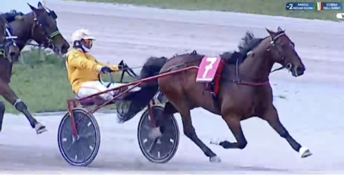 Rätt likör för Gocciadoro