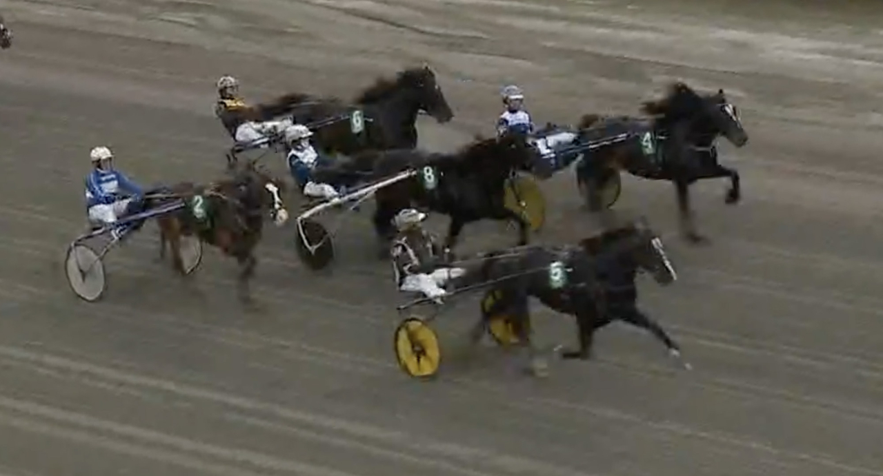 Tekno Jerven och Jimmy Jonsson flög till seger i kallblodens snabblopp på Romme. Skärmbild ATG Live