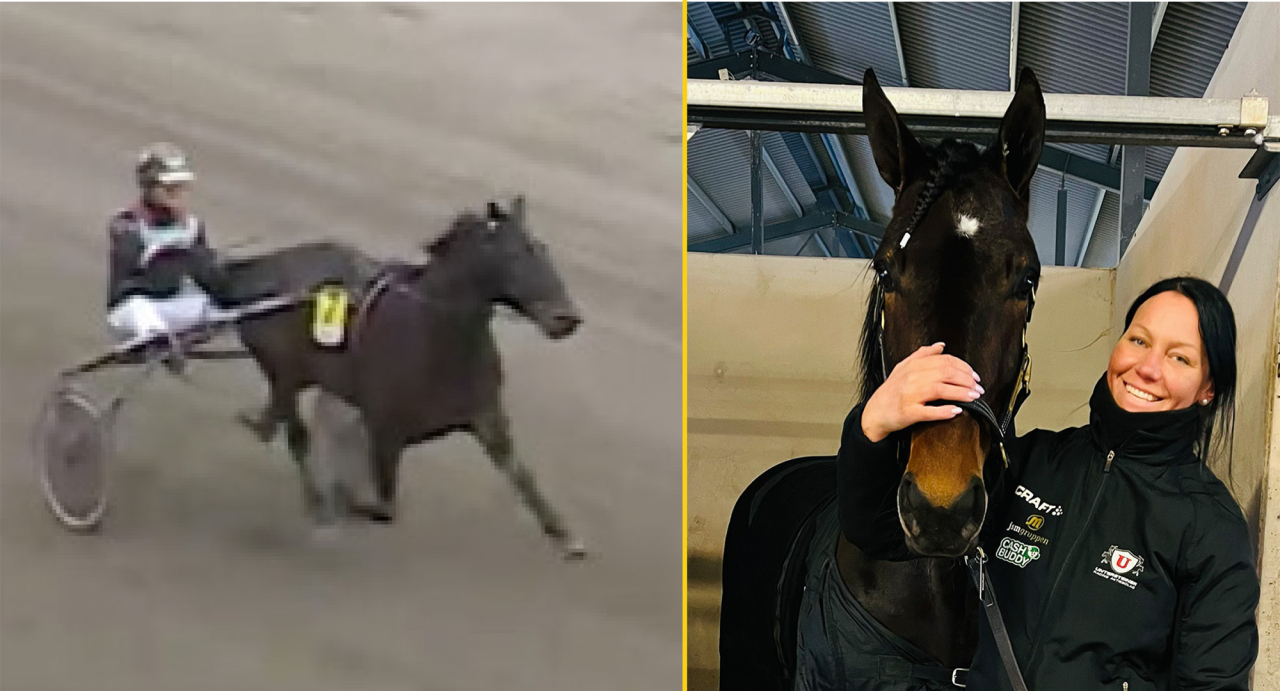 Uncle Tile och Johan Untersteiner vinner enkelt före North Shore i sin debut. Här tillsammans med skötaren Johanna Kinell efter segern. Skärmbild ATG Live & Foto Privat
