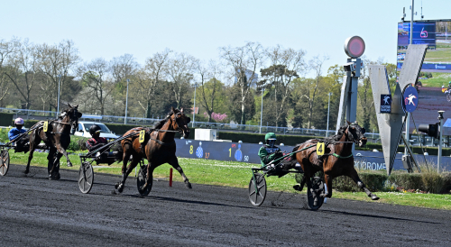 Westholms Caviar i topp