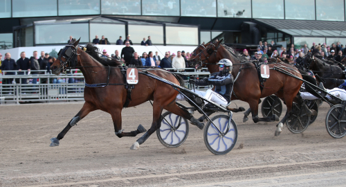 Jenny A Björk skrällvann