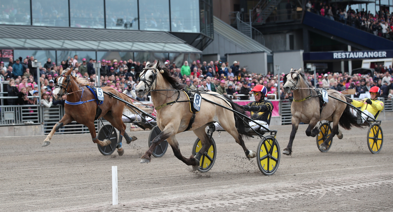 Tangen Bork och Tom Erik Solberg. Foto Mathias Hedlund/Sulkysport