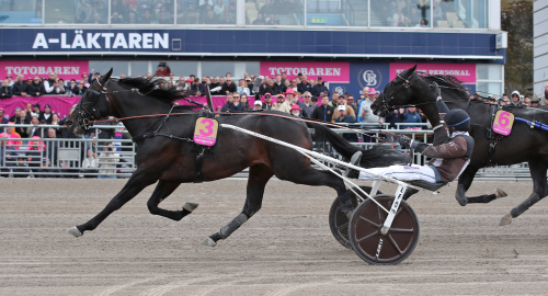 Elitloppet: Fjolårstvåan tillbaka