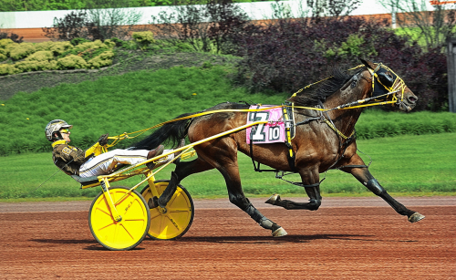 Bytt ägare nio gånger