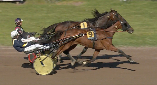 Decision Maker tuffast i guld
