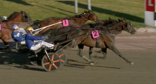 V75: Global Etalon skrällde i Prins Daniels lopp