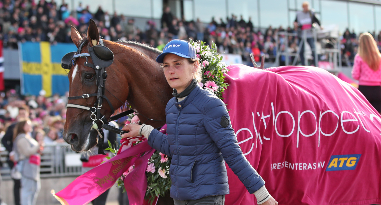 Go On Boy. Foto Mathias Hedlund/Sulkysport