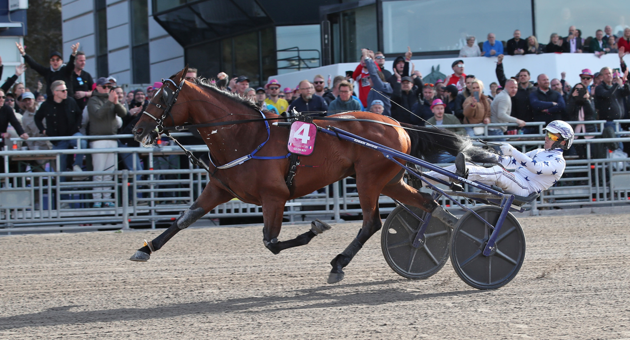 Go On Boy och Romain Derieux vid segern i Elitloppet. Foto Mathias Hedlund/Sulkysport