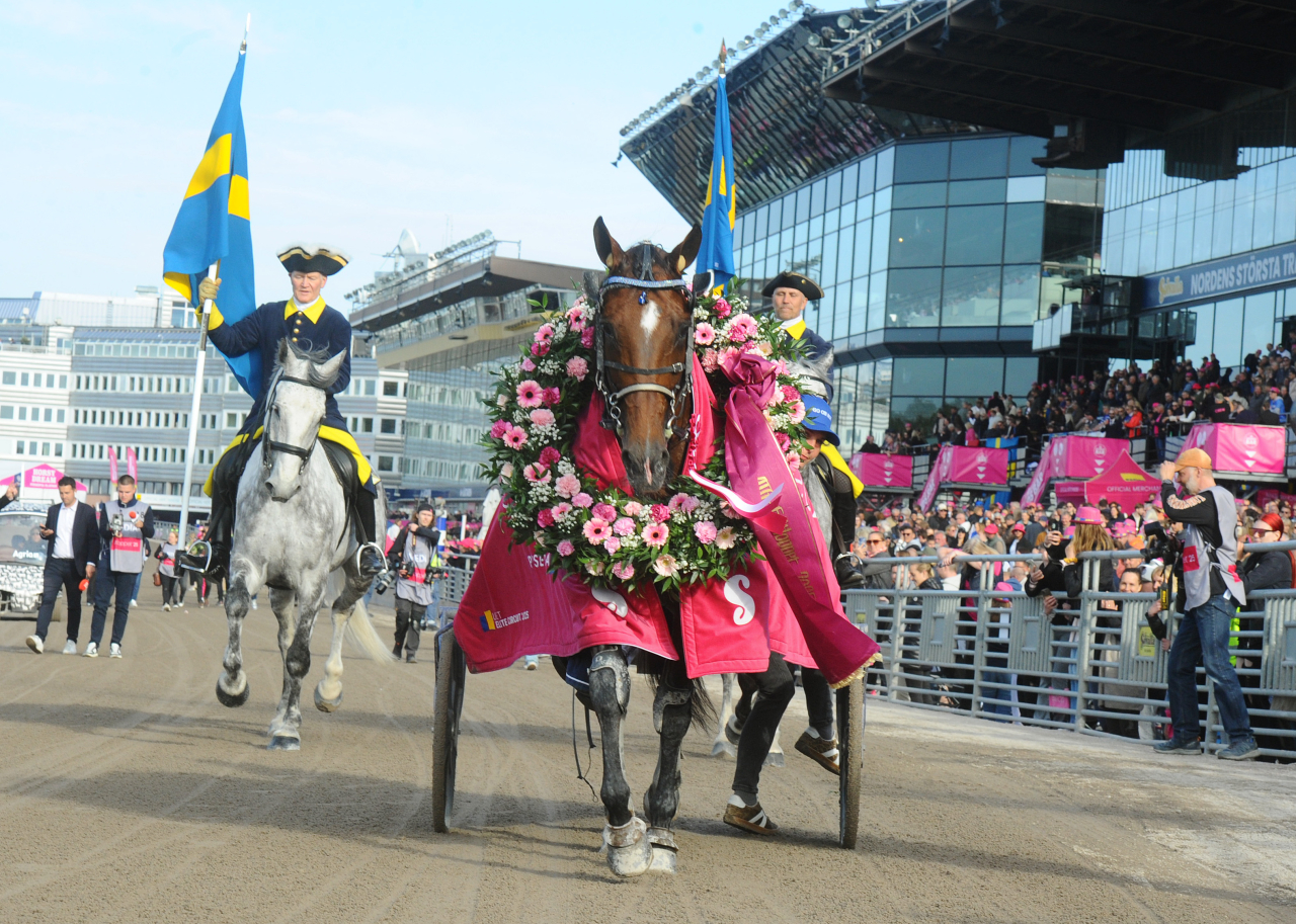 Go On Boy efter segern i Elitloppet. Foto: Adam Ström/stalltz.se