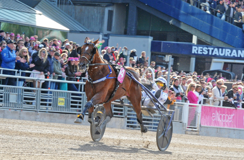 Go On Boy mot comeback