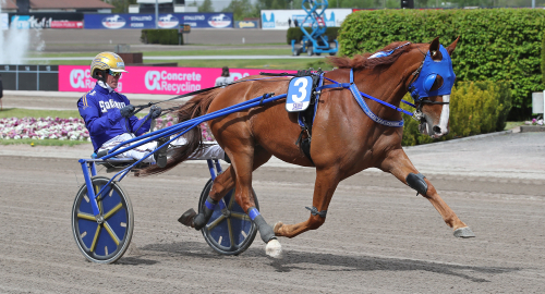 Sweden Cup-tvåa till Goop