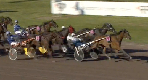 V75: La Yucas väg till triumf