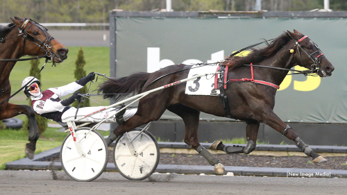 Tangerade världsårsbästa