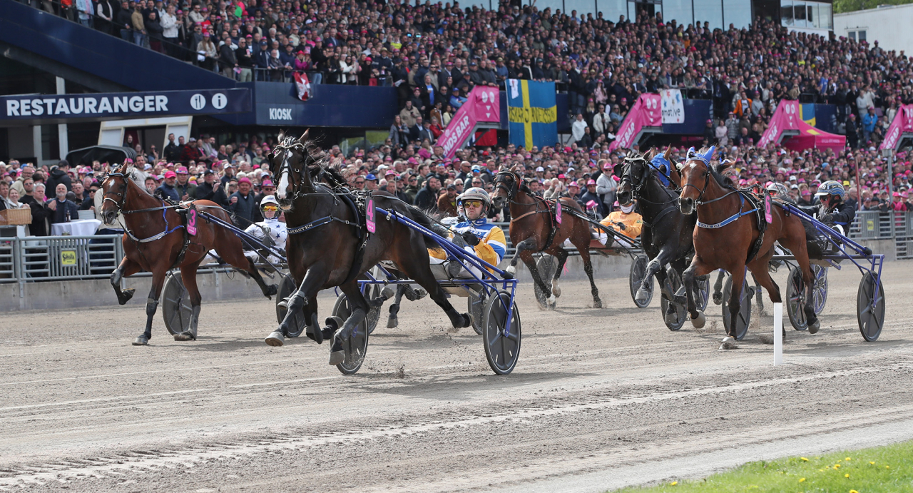Mellby Jinx och Mats E Djuse. Foto Mathias Hedlund/Sulkysport